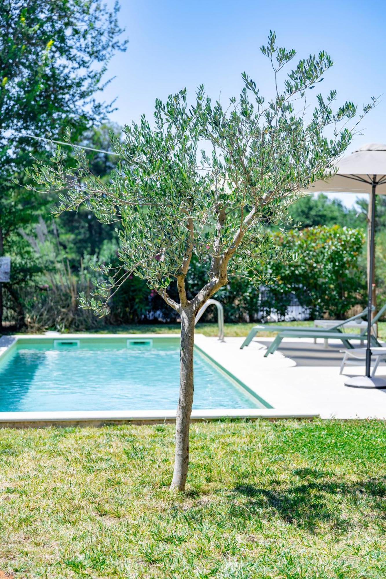 Villa Zen - With Pool & Close To The Sea Тар Экстерьер фото